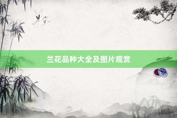 兰花品种大全及图片观赏
