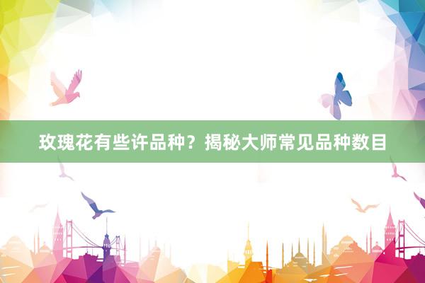 玫瑰花有些许品种？揭秘大师常见品种数目