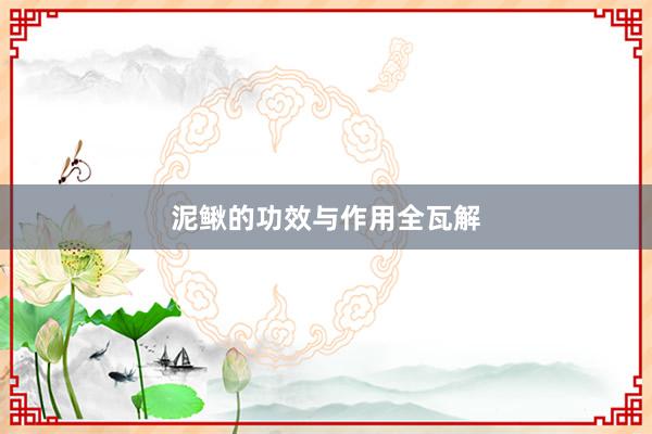 泥鳅的功效与作用全瓦解